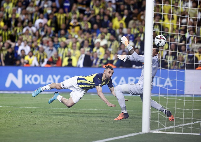 有效的轮换 有效的轮换