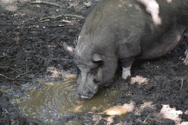 他们通过精 他们通过精